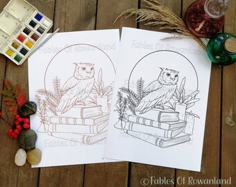 Owl coloring page, Spellbooks, Printable Coloring Sheet, Adult Coloring Sheet