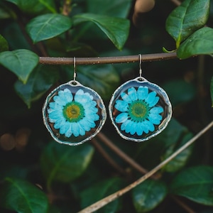 Blue Daisy Silver Earrings
