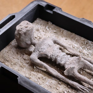 Mummified alien corps Mexico
