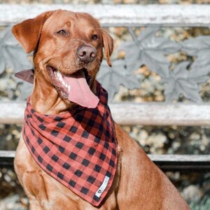red plaid, snap on pet bandana, dog bandana, Canadian made, cat bandana, pet lover, dog lover, dog mom gift, new puppy, pet accessories