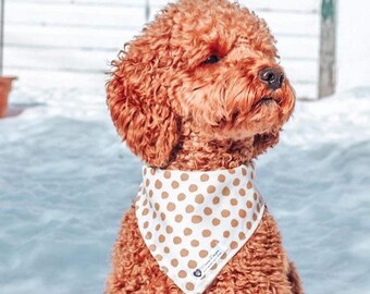 polkadot bandana, snap on pet bandana, dog bandana, Canadian made, cat bandana, dog lover, dog mom gift, new puppy, pet accessories