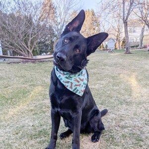 gerente de la sucursal, chasquido en bandana de mascotas, pañuelo para perros, canadiense hecho, pañuelo de gato, amante de mascotas, amante de los perros, regalo de la madre del perro, amante del gato, accesorios para mascotas imagen 3