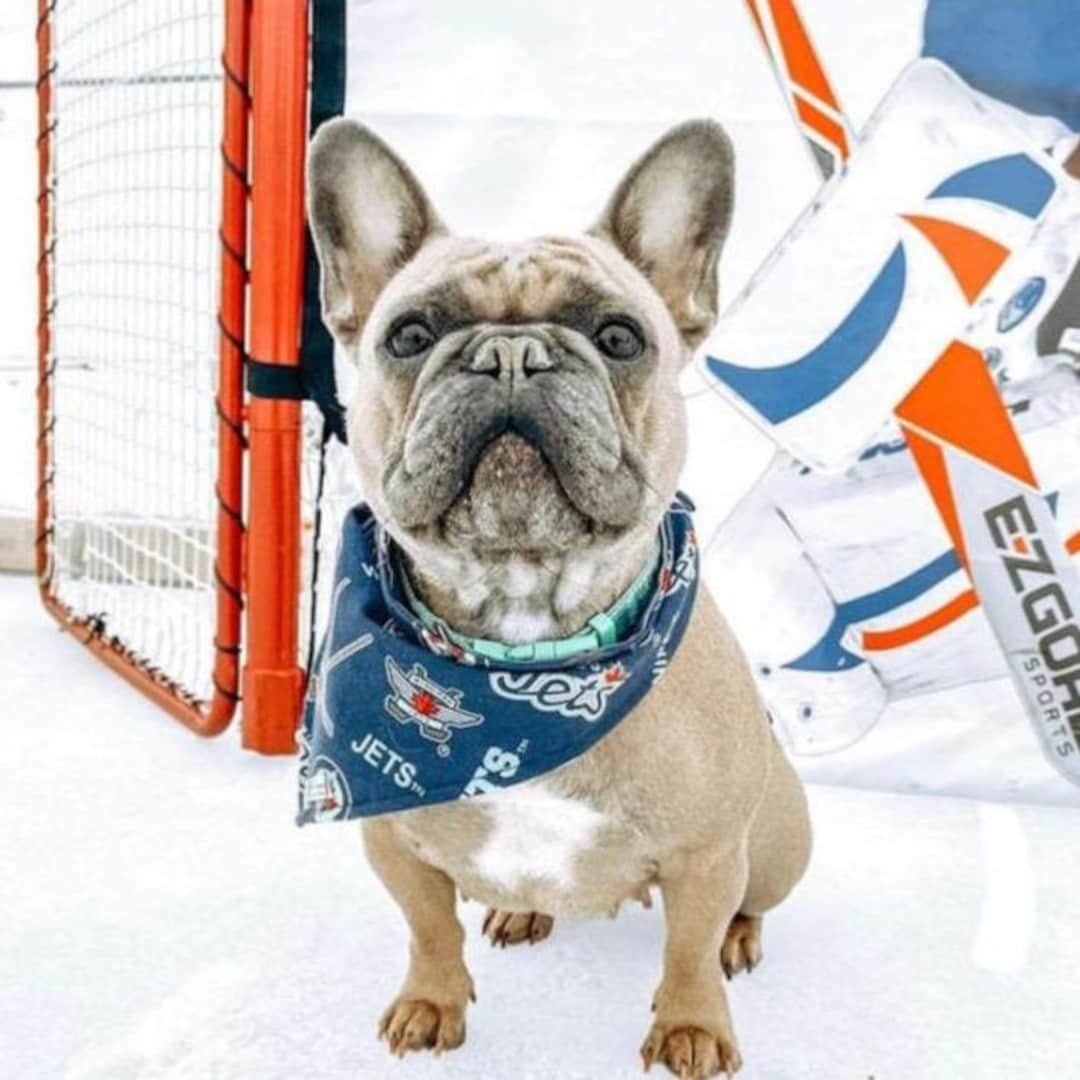 Winnipeg Jets, Snap on Pet Bandana, Dog Bandana, Canadian Made, Cat