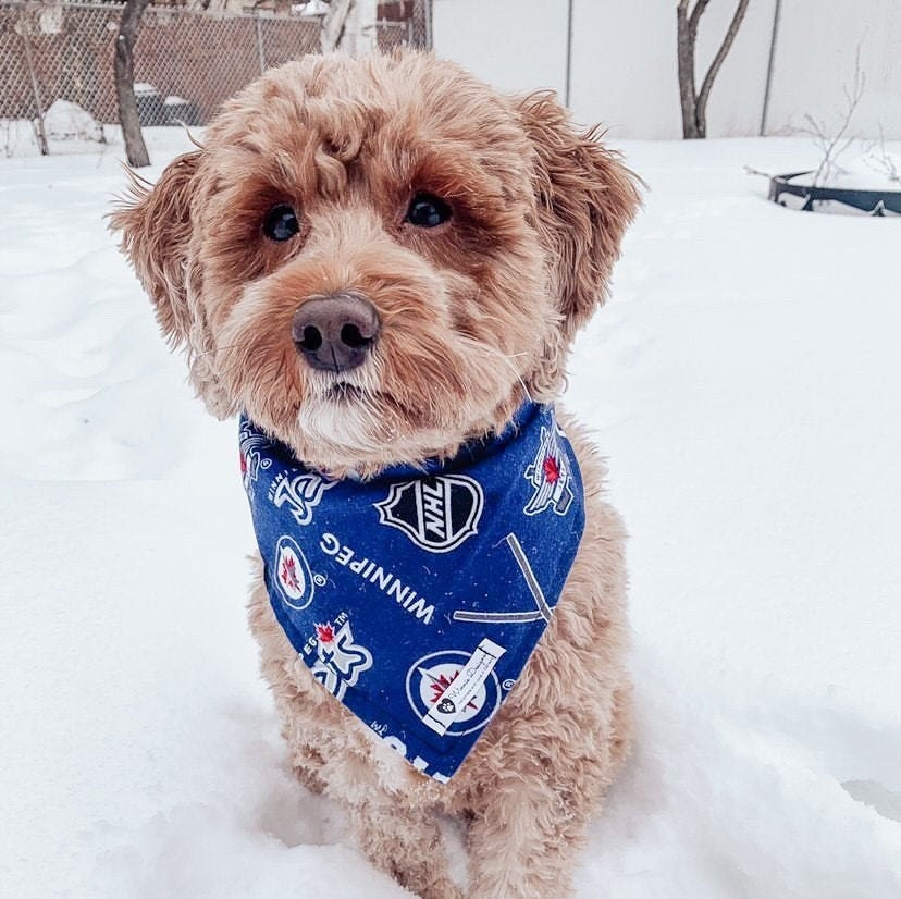Winnipeg Jets snap on pet bandana dog bandana Canadian Etsy