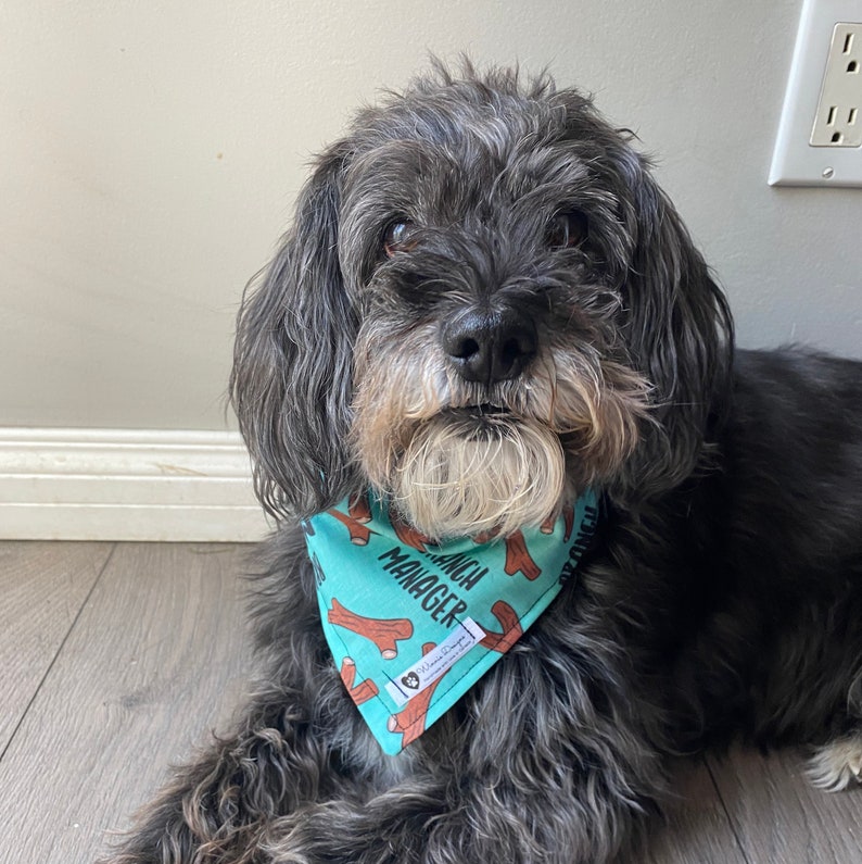 gerente de la sucursal, chasquido en bandana de mascotas, pañuelo para perros, canadiense hecho, pañuelo de gato, amante de mascotas, amante de los perros, regalo de la madre del perro, amante del gato, accesorios para mascotas imagen 5