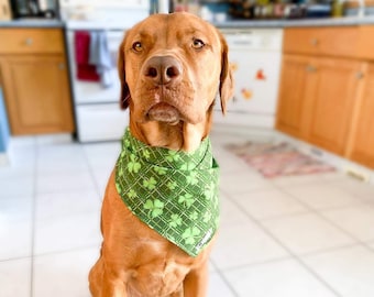 shamrocks amante, snap en bandana mascota, pañuelo para perros, canadiense hecho, pañuelo de gato, amante de los perros, regalo de la madre del perro, nuevo cachorro, accesorios para mascotas