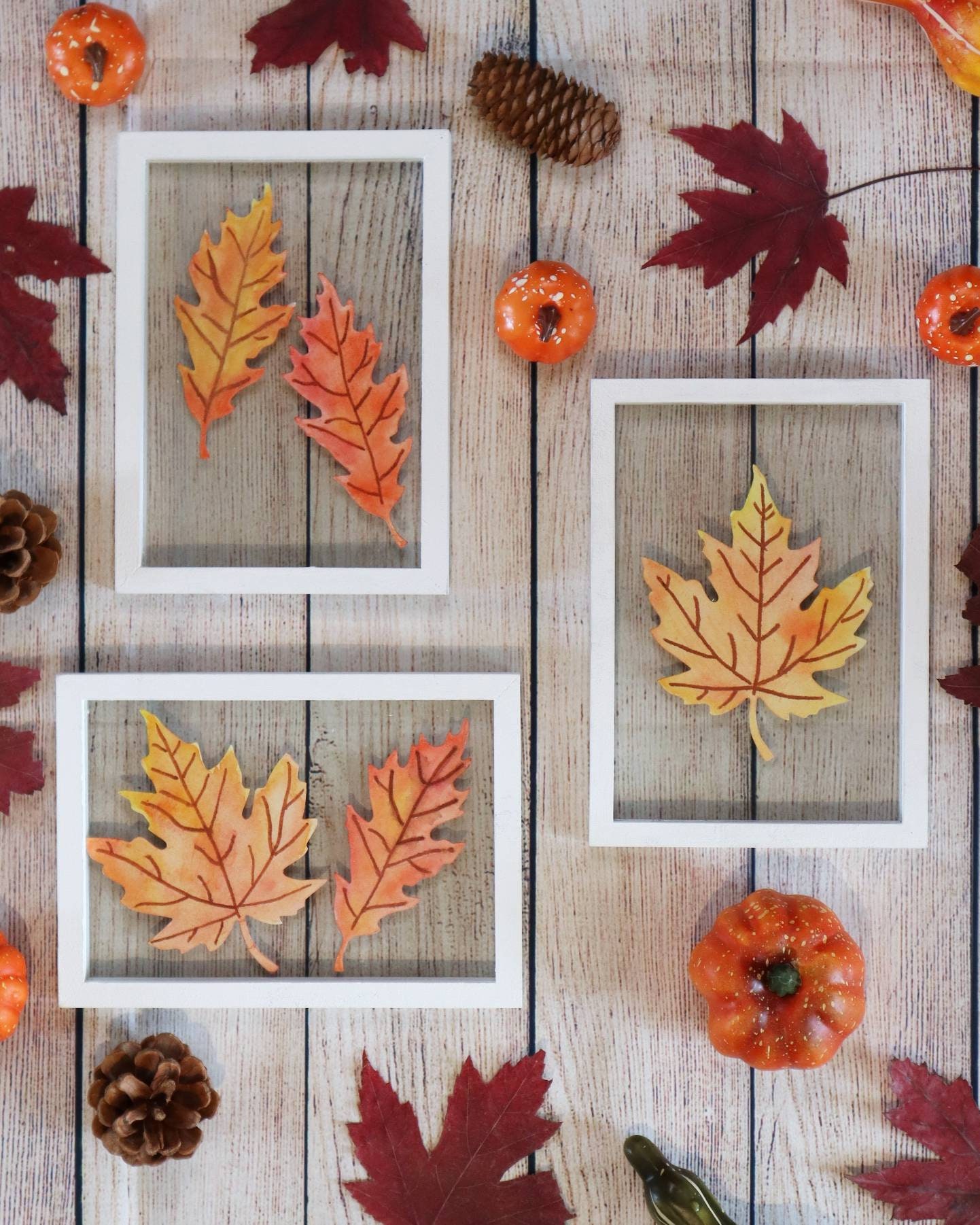 Cadres Feuilles d'automne