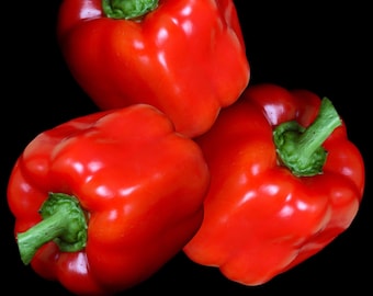 Semillas de pimiento dulce gigante Keystone: sin OMG, de alto rendimiento