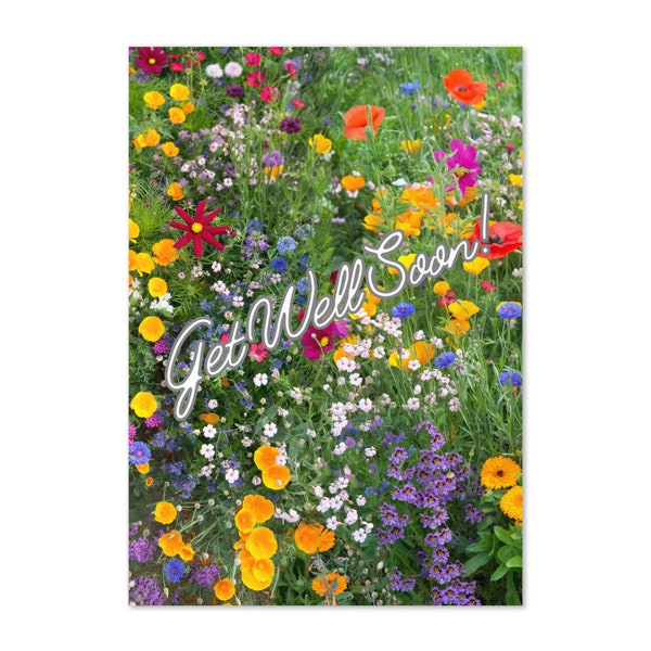 Get Well Soon Greeting Card Blank Inside Colorful Flowers Sympathy Card