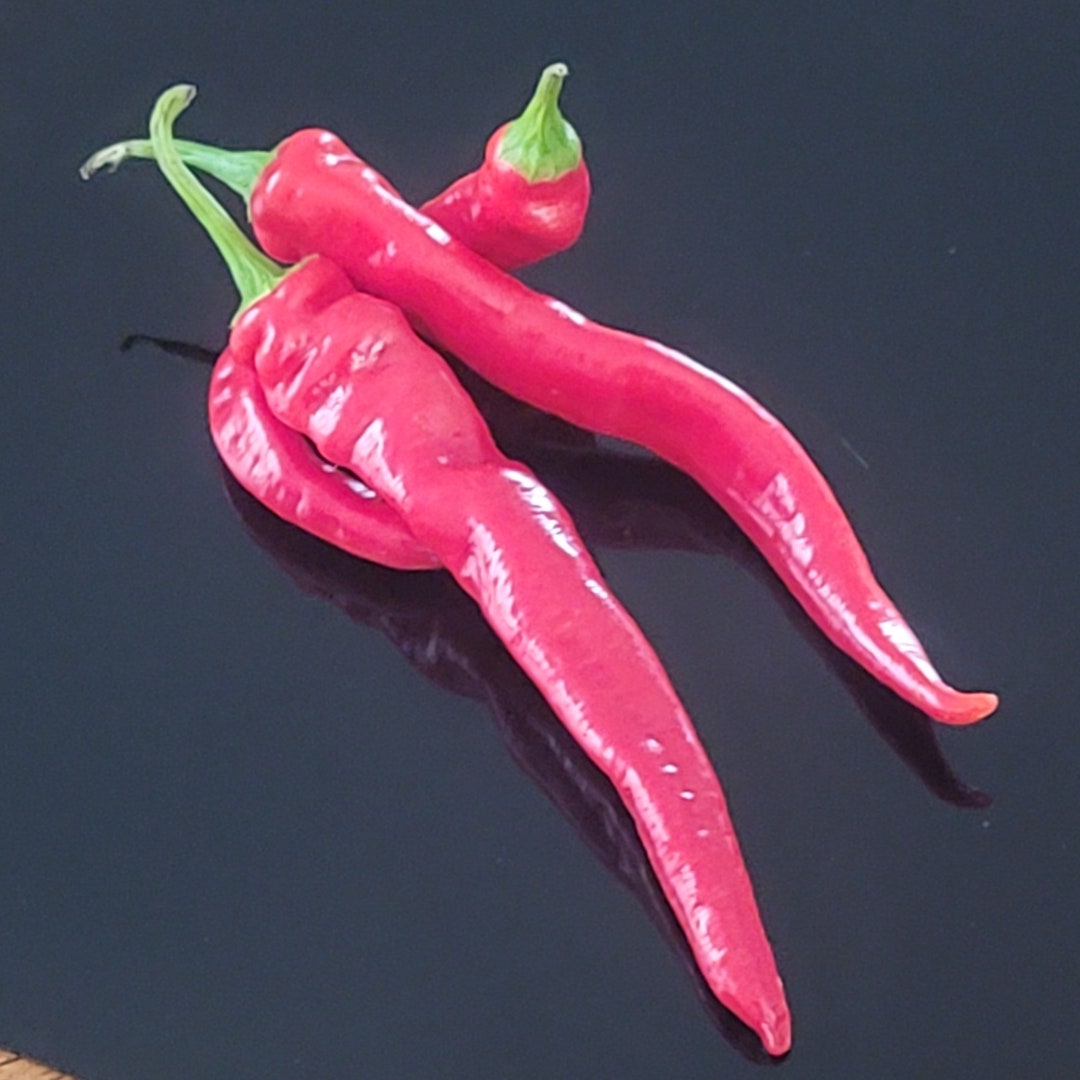 Thai Pepper Seed Best Germinating Big Thai Seed Hot Thai Pepper Plants