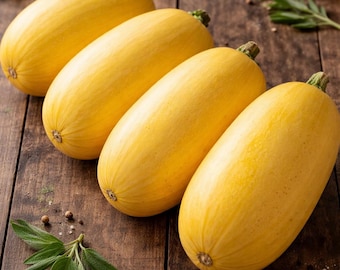 Spaghetti Squash Seeds Heirloom Winter Squash Easy to Grow Non-GMO