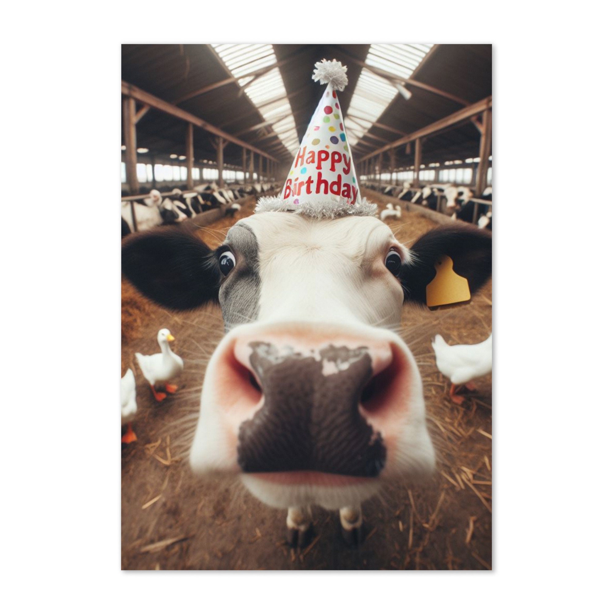 Biglietti di auguri a forma di mucca - Italia
