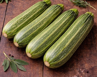 Cocozelle Zucchini Seeds – Heirloom, High-Yield, Flavorful Summer Squash