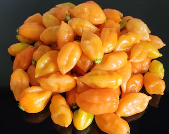 Semillas de pimiento carbonero naranja: una planta súper picante para el jardín