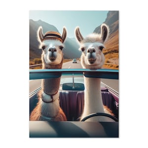 Carte de voeux Roadtrippin' Lamas - Vierge à l'intérieur, humour animal fantaisiste pour toutes les occasions, parfaite pour les amis, la famille et les fans de lamas