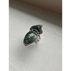 Serpentijn en haai fossiele tandring unieke handgemaakte zilversmid ringmaat 6,5 fossiele sieraden megalodon Calvert kliffen fossielen