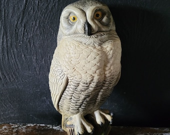 Vintage Chalkware Owl Wall Hanging, Realistic Owl Decor, Bird Watcher Gift