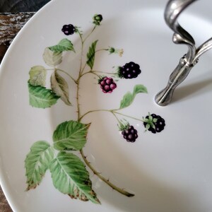 May include: White ceramic cake stand with a silver handle. The stand is decorated with a painted blackberry vine with green leaves and purple berries.