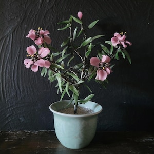 May include: A glass bonsai tree with pink flowers in a light green ceramic pot. The tree has green leaves and is sitting on a dark wooden surface.