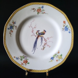 Theodore haviland limoges france china plates - Etsy 日本