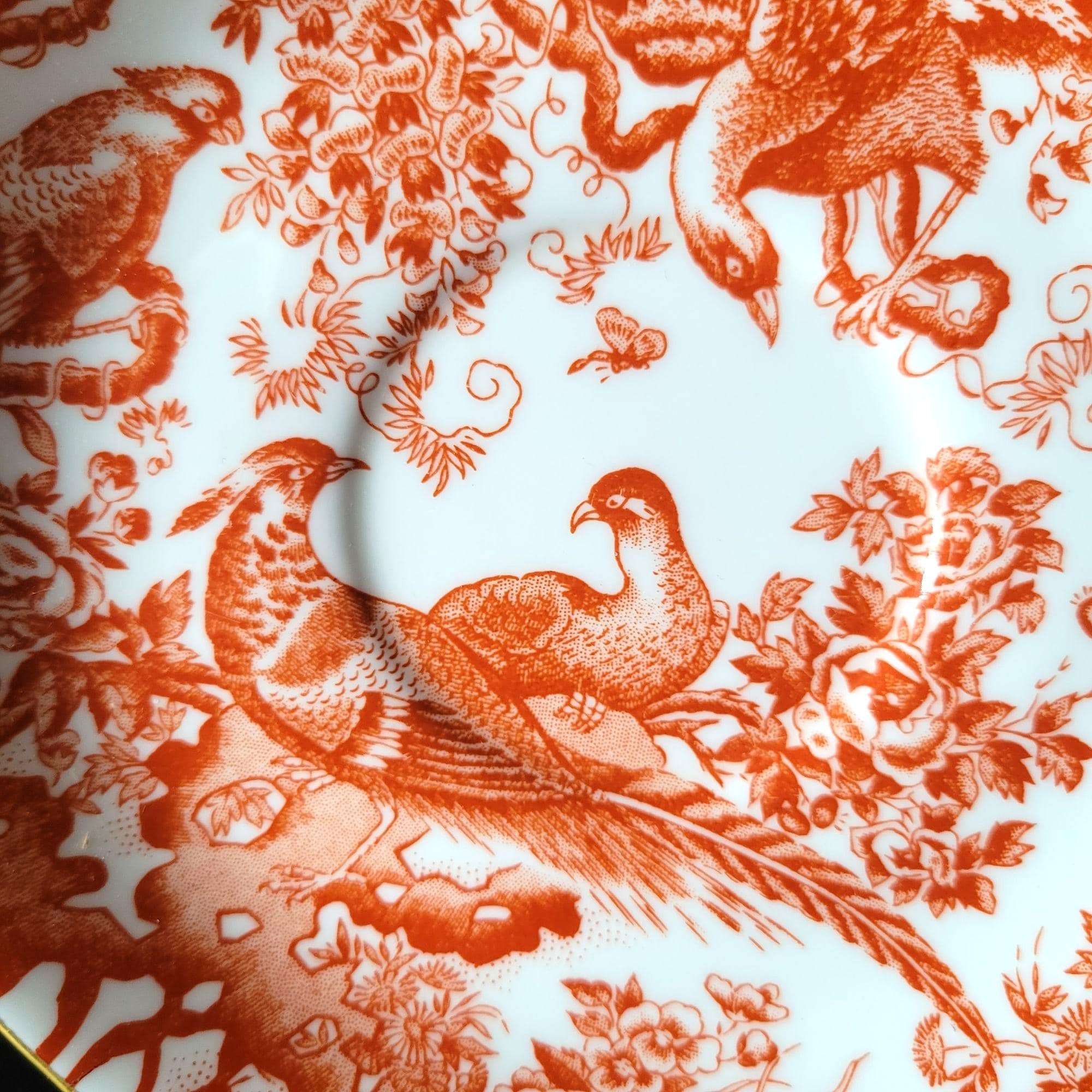 Royal Crown Derby Red Aves Pattern Saucer Plate 6.25