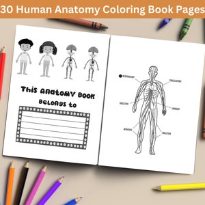 30 Human Anatomy Coloring Pages: Educational and Detailed Designs ...