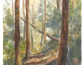 Along the Creek