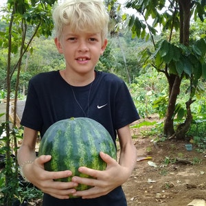 Ezekiel's Landrace In Progress Watermelon Mix image 1