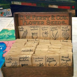 Mystery Seed Pack Bundle-Organic and Rare Seeds