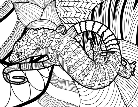 Zen Lizard Mandala Relaxing Coloring Page for Kids or Adults | Etsy