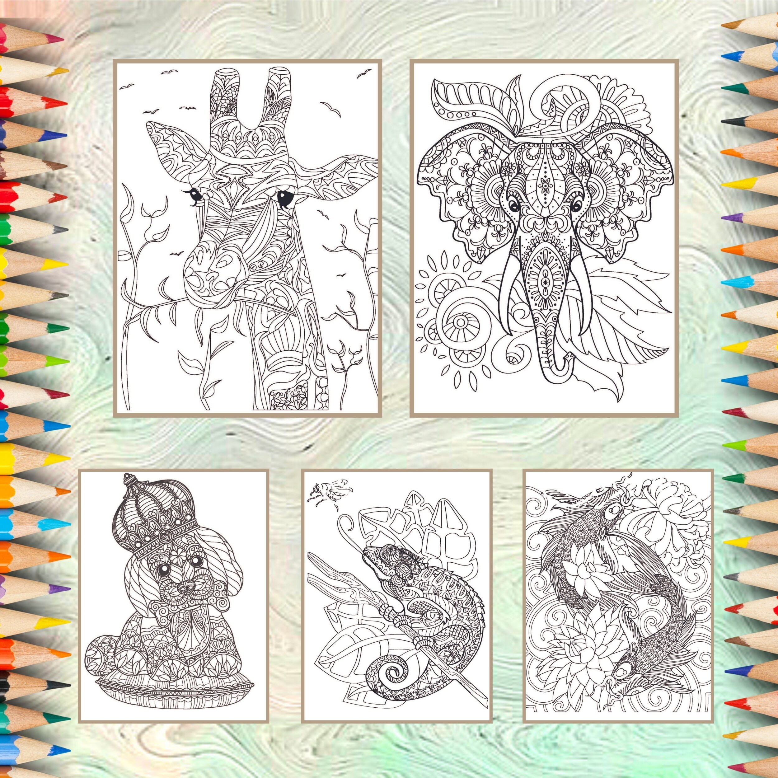Animals Coloring Book Pages for Adults and Kids | Zen Tangle Rabbit ...
