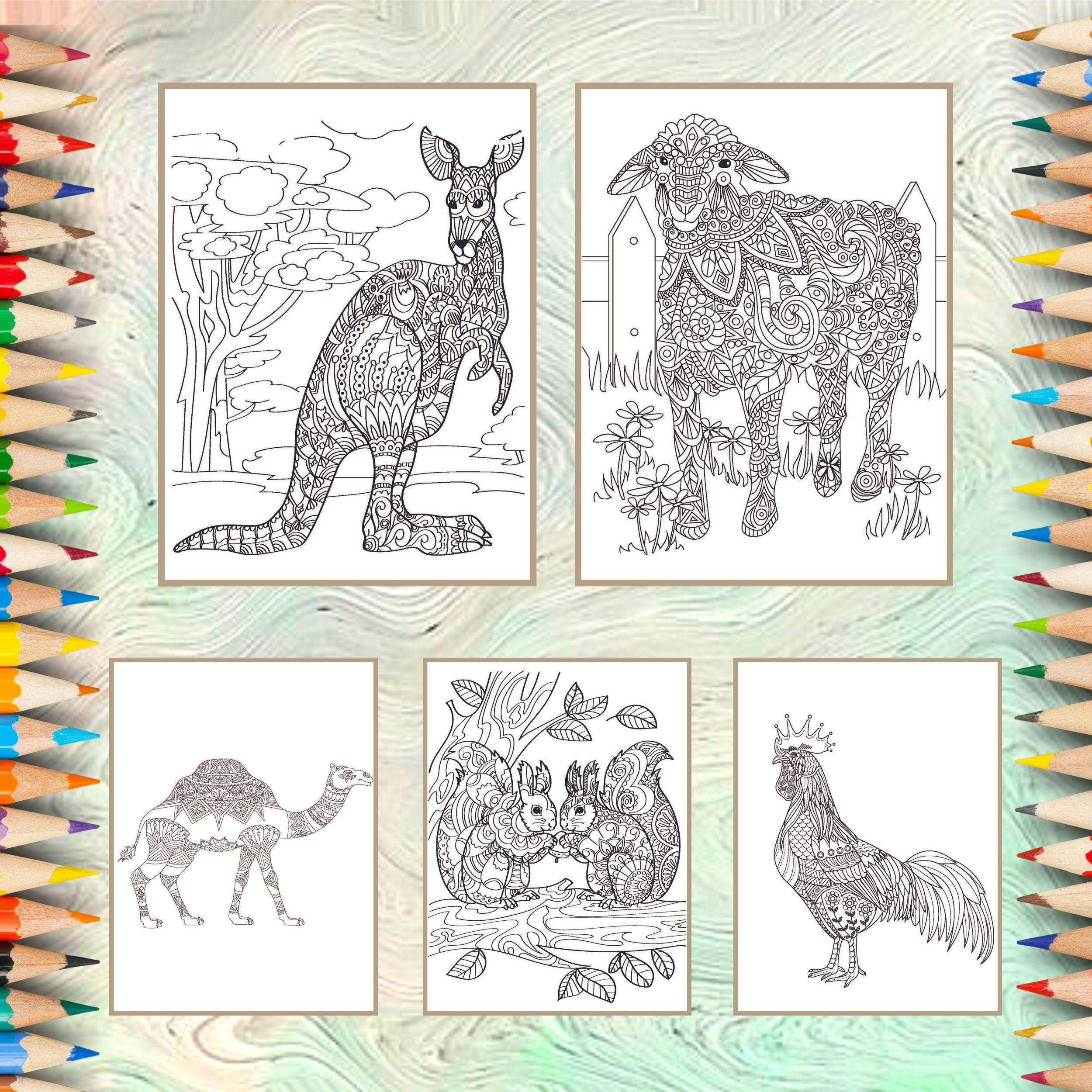 Animals Coloring Book Pages for Adults and Kids | Zen Tangle Rabbit ...