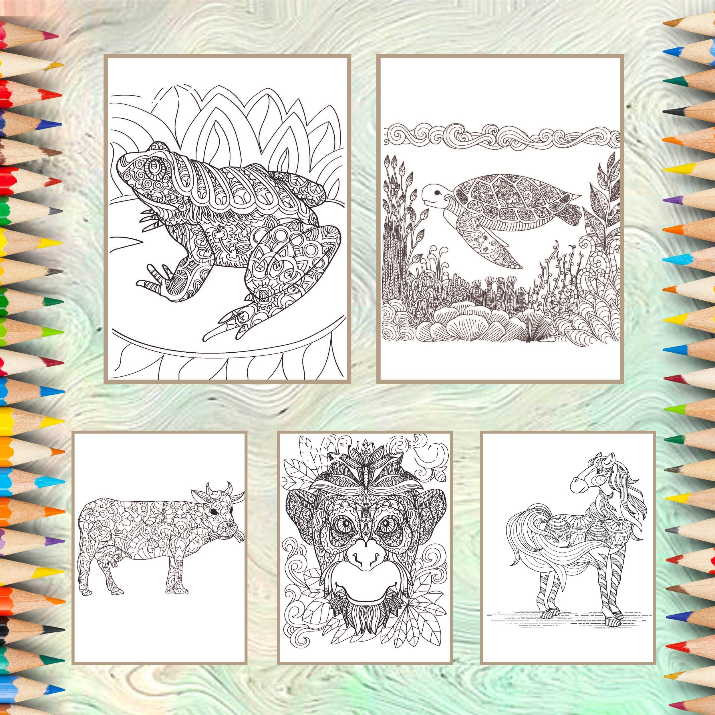 Animals Coloring Book Pages for Adults and Kids | Zen Tangle Rabbit ...