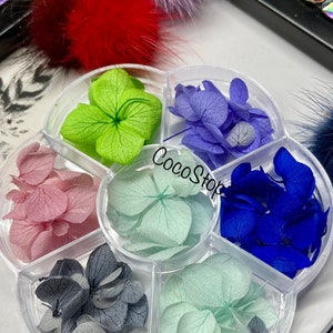 Pétalos secos flores diseño acuarela nail art decoración