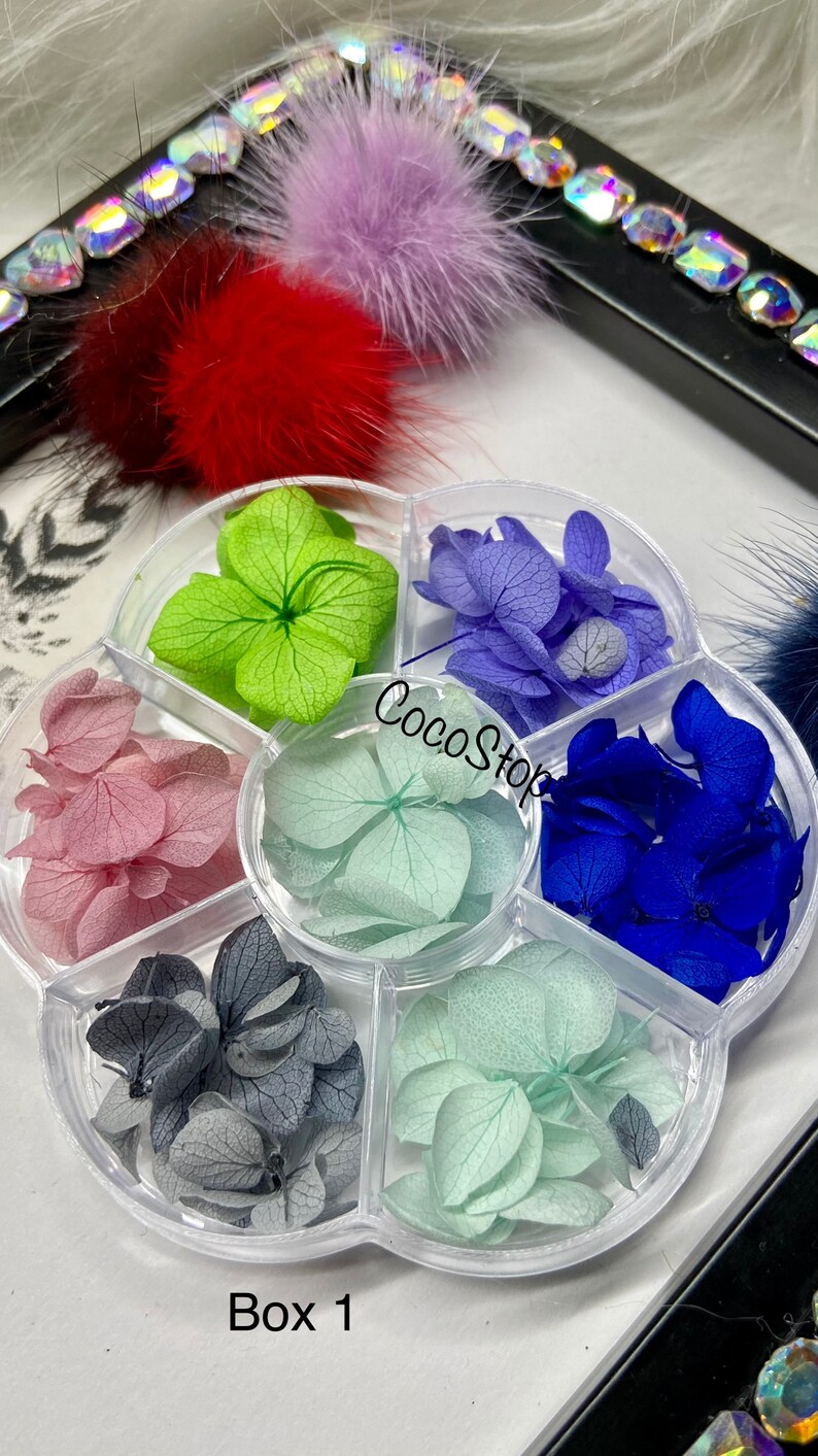 May include: A set of six containers filled with dried hydrangea petals in various colors, including green, blue, pink, and gray. The containers are arranged in a circle and labeled "Box 1".
