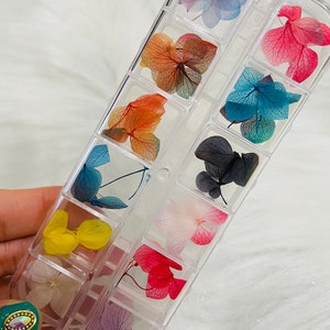 May include: A clear plastic storage box with 15 compartments filled with pressed flowers in various colors, including blue, pink, yellow, and purple.
