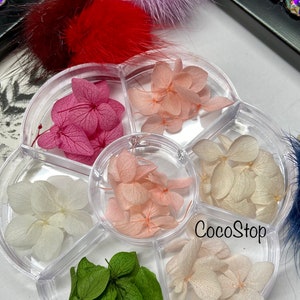 May include: A clear plastic container with seven compartments, each filled with dried flower petals. The petals are in various shades of pink, white, and green. The container is labeled "CocoStop" and "Box 2".