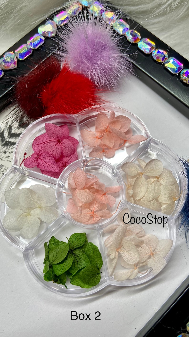 May include: A clear plastic container with seven compartments, each filled with dried flower petals. The petals are in various shades of pink, white, and green. The container is labeled "CocoStop" and "Box 2".