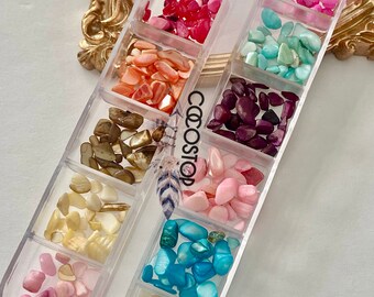 Pode incluir: Um recipiente de plástico transparente com 12 compartimentos cheios de pequenas conchas do mar de várias cores e formas irregulares. O recipiente está etiquetado com "Cocostop".