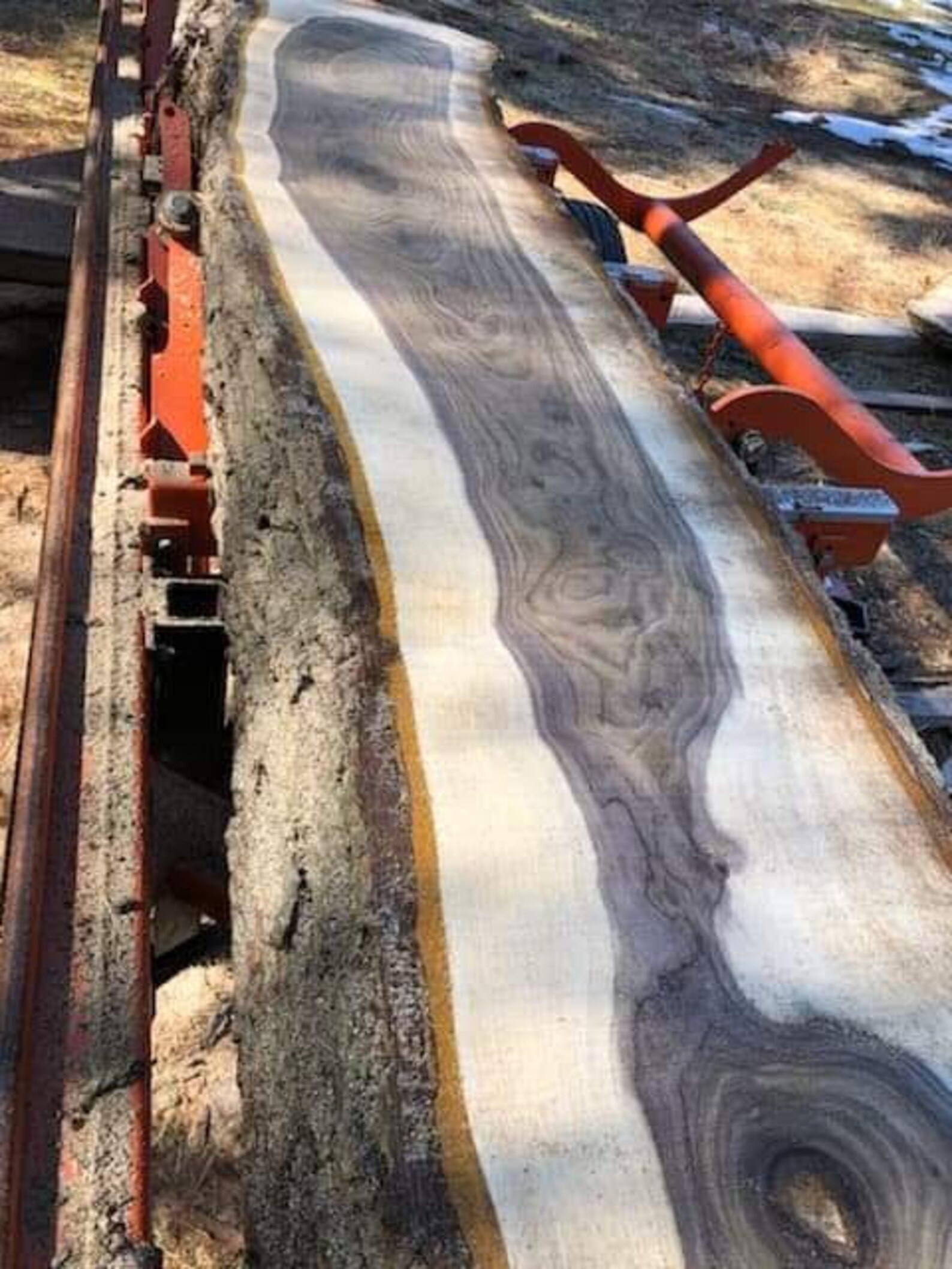 Black Walnut Wood Slabs Etsy