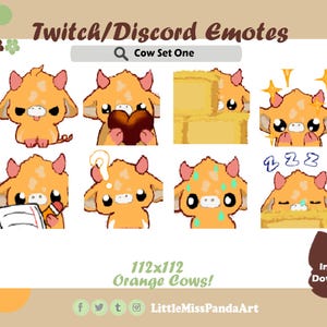 Orange Cow Set One