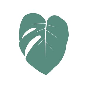 Monstera Deliciosa Leaf Digital Download Art | Pritntable