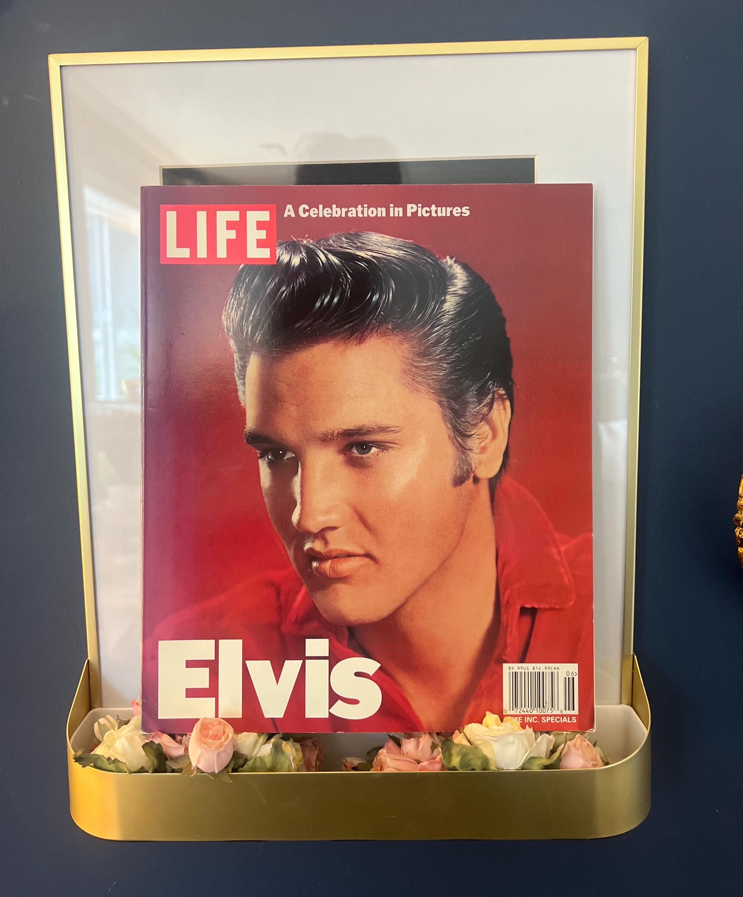 Elvis A Celebration in Pictures by Life Magazine (2000) - Etsy