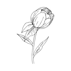 10 Peony Coloring Pages image 2