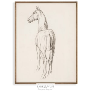 Horse Sketch No. 1 | Digital Printable Art | Antique Equestrian Drawing