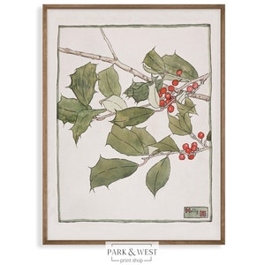 Holly | Digital Printable Art | Vintage Botanical Print | Christmas Art Print