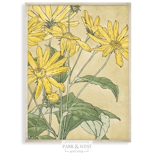 Könnte beinhalten: Eine Vintage-Illustration von gelben Blumen mit grünen Blättern auf beigefarbenem Hintergrund. Das Bild ist mit einem hellbraunen Rahmen gerahmt.