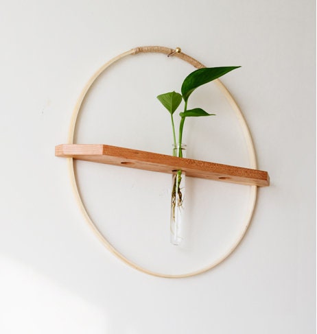 Hängender Wandbehang Wand pflanzen aufhängenBlumen | Etsy