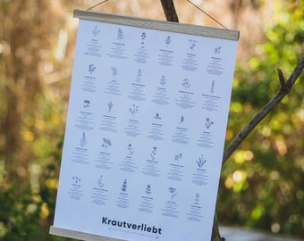 Herb poster A2 "Krautverliebt" with 30 native wild herbs