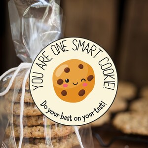 Tratamento para testes escolares | Você é um biscoito inteligente | Dê o seu melhor na prova | Etiqueta de deleite de biscoito |